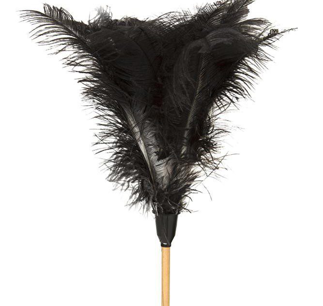 Feather Duster - Each