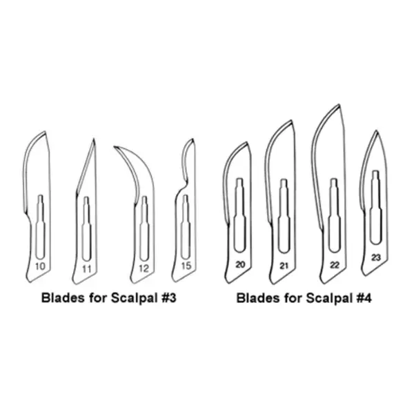 Carbon Steel Scalpel Blades - 100 Units